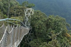 Nyungwe National Park