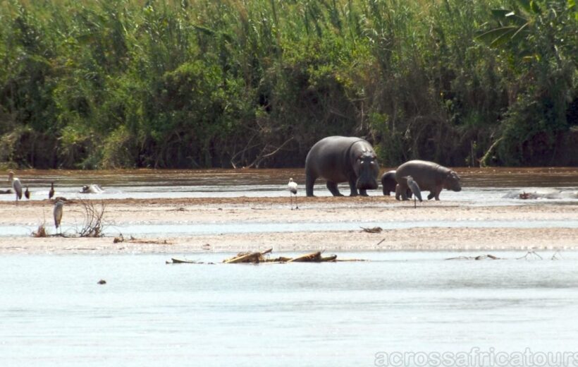 6 DAYS- BURUNDI TRIP