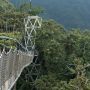 nyungwe-canopy-walk